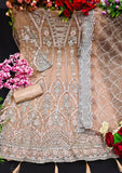 Women's Butterfly Net Heavy Embroidery Stone Work Peach Color Pakistani Suit
