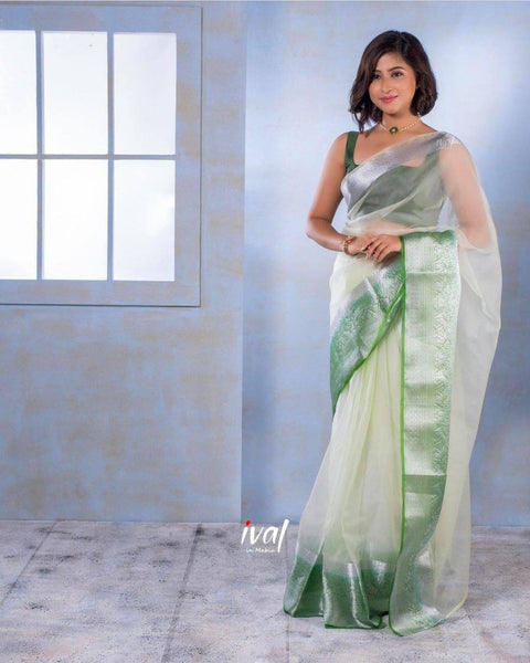 Designer Women's Exclusive Solid Nayon Green Orgnaza Saree